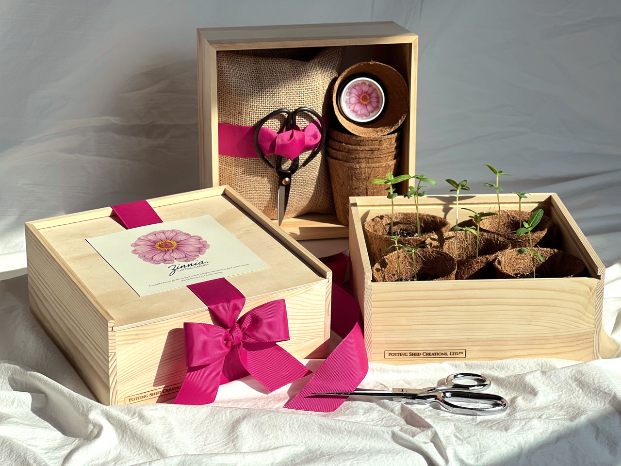 NEW Culinary Herb Garden Box | Mother's Day | Spring
