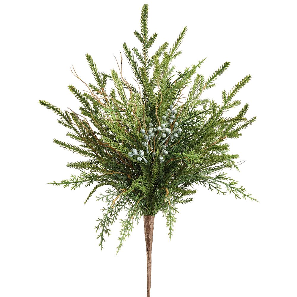 Juniper & Cypress Bundle