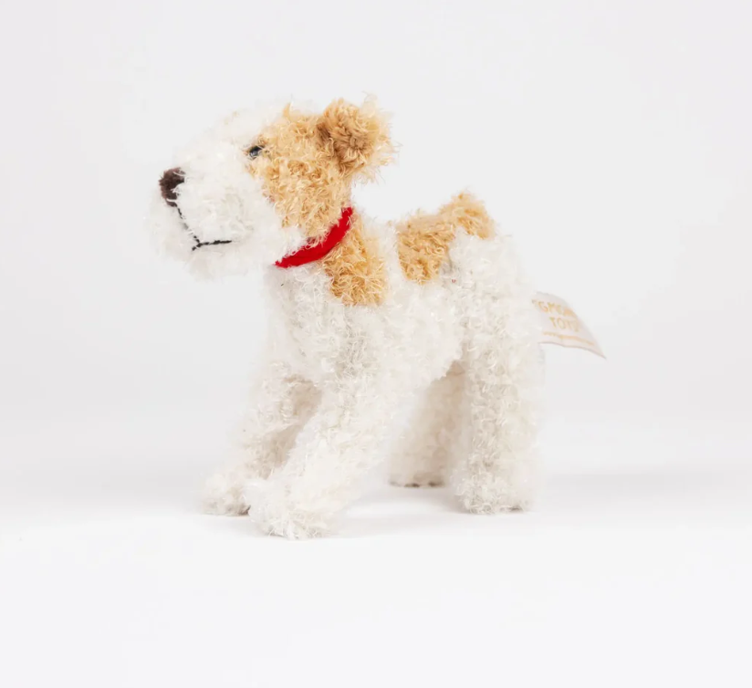 Eliot the Jack Russell