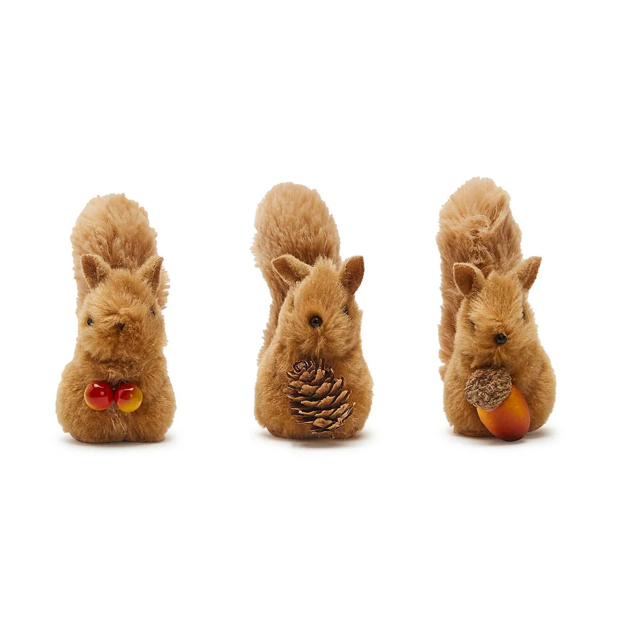 Sweet Squirrel Decor
