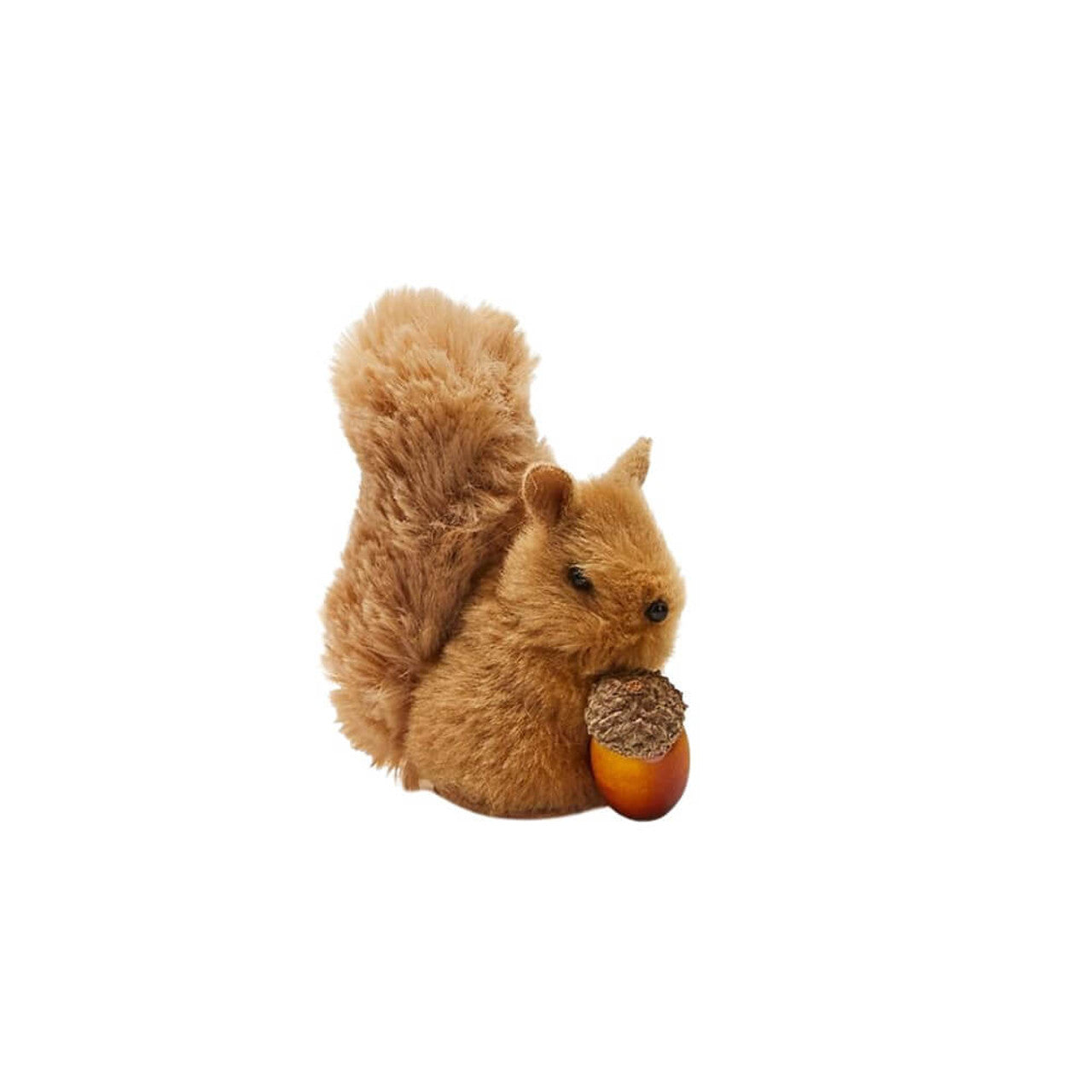 Sweet Squirrel Decor