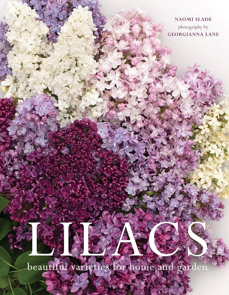 Lilacs - Coffee Table Book