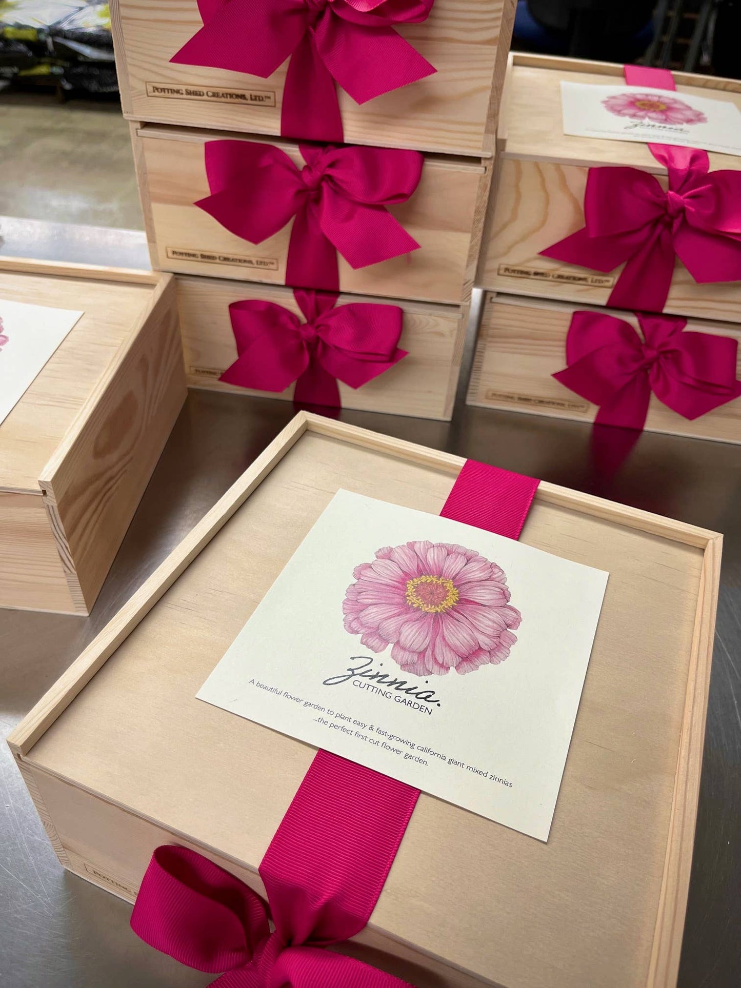 NEW Flower Cutting Garden Box | Mixed Zinnia | Mother's Day