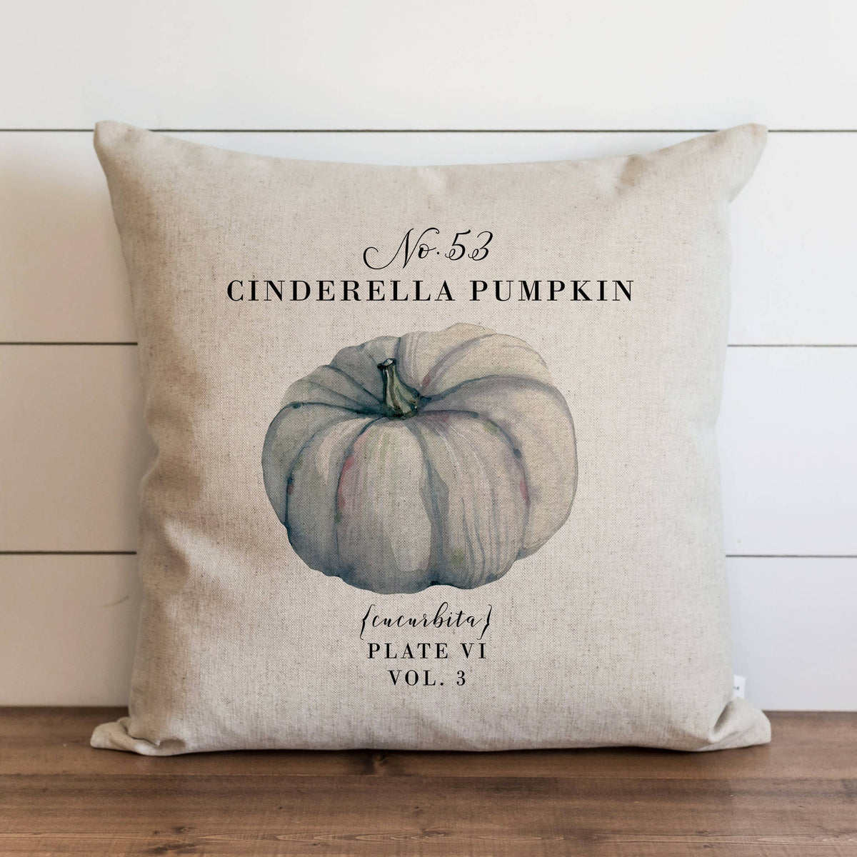 Cinderella Pumpkin Pillow Cover: Natural / 18" x 18"