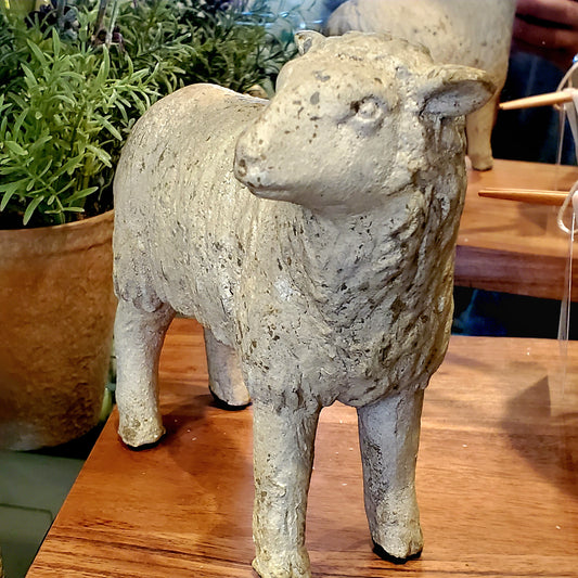 Standing Sheep, Head Turned (large, resin)