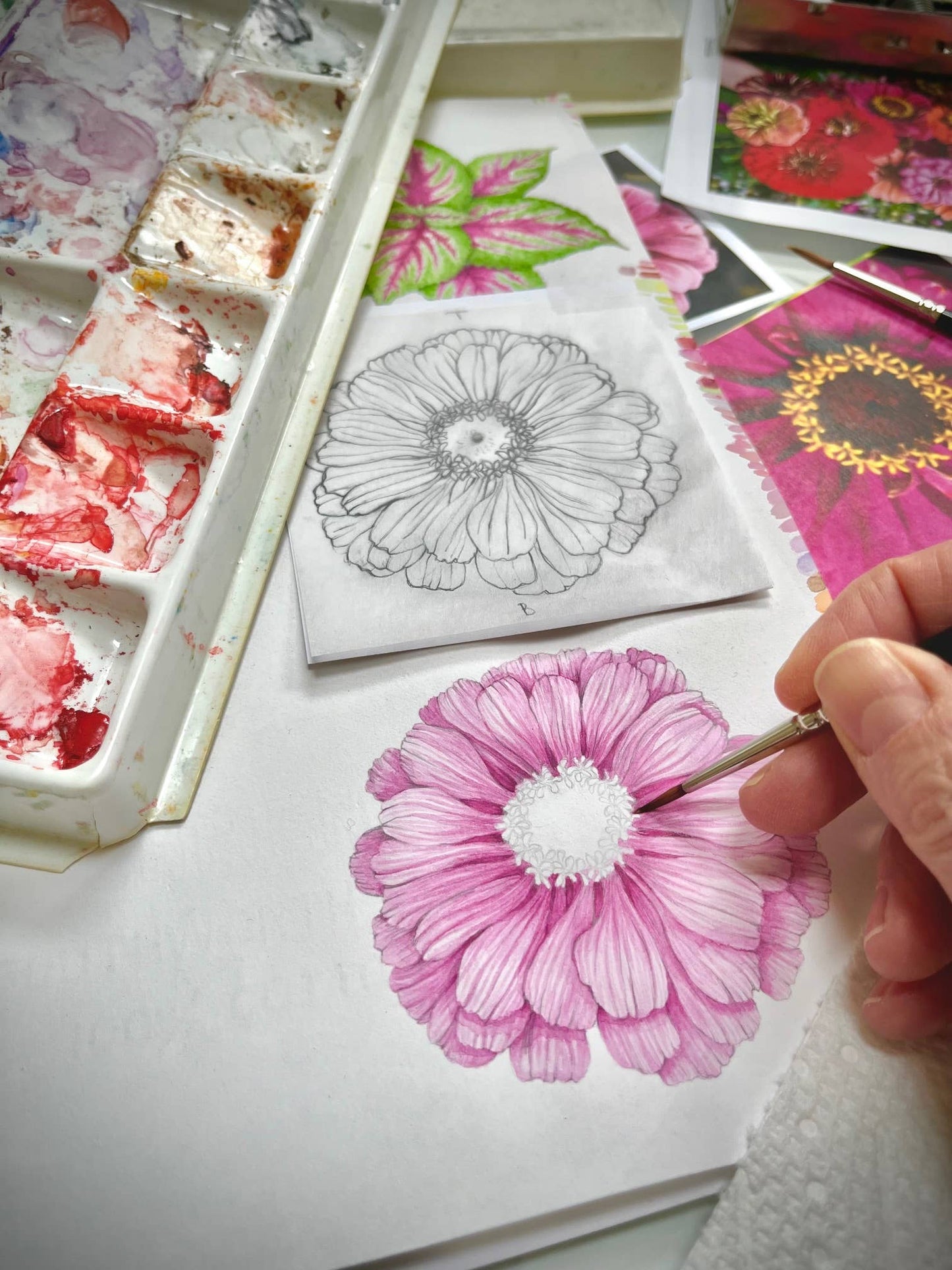 NEW Flower Cutting Garden Box | Mixed Zinnia | Mother's Day