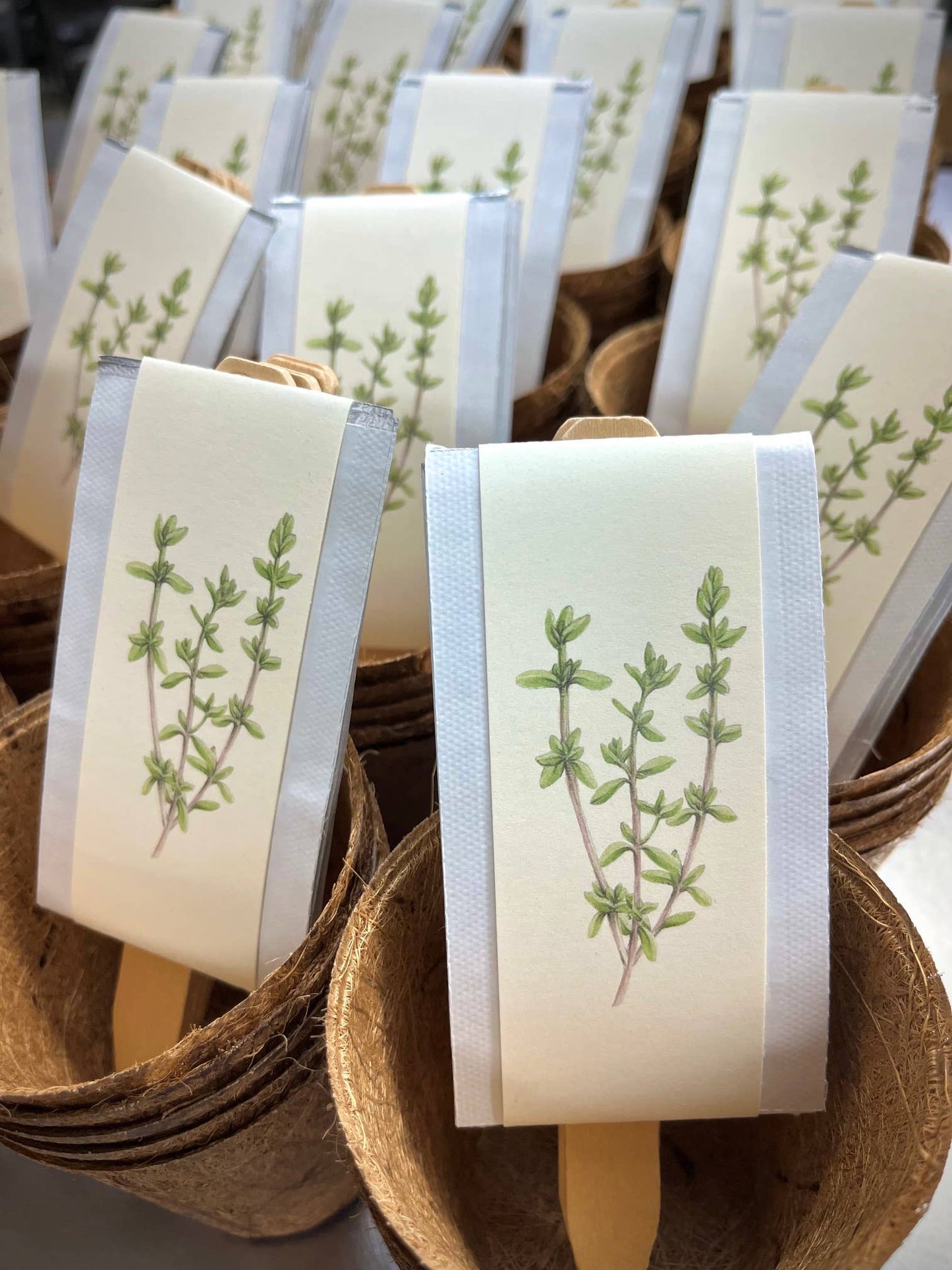 NEW Culinary Herb Garden Box | Mother's Day | Spring