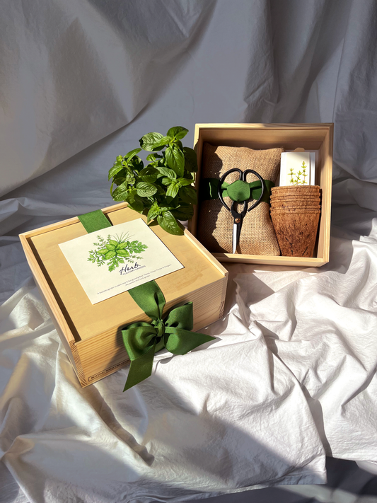 NEW Culinary Herb Garden Box | Mother's Day | Spring