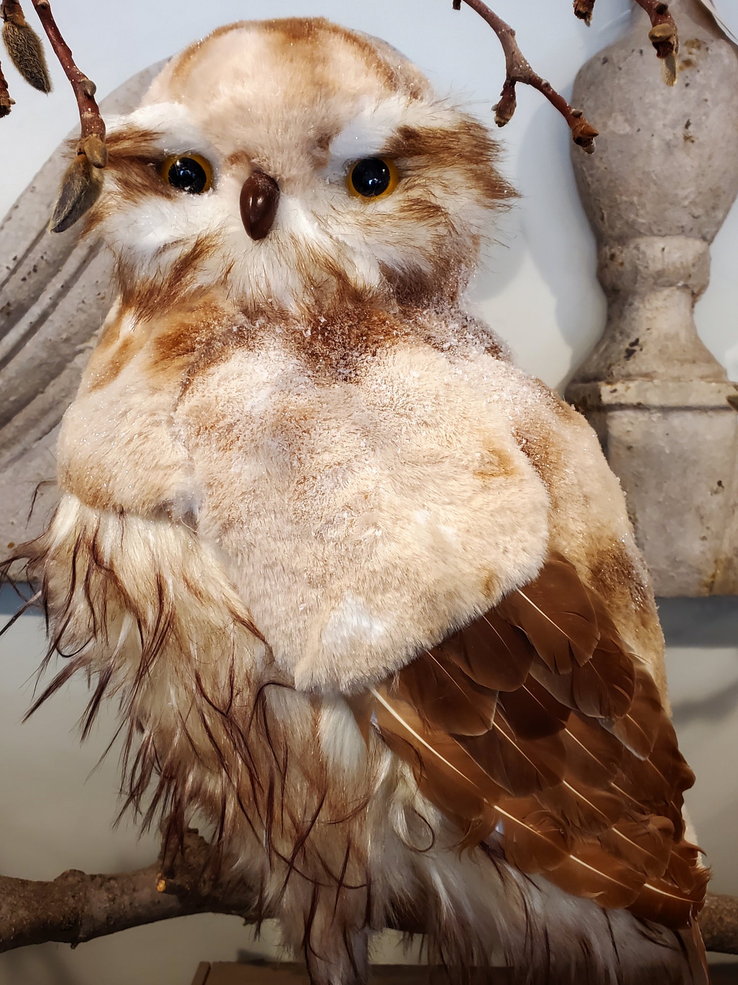 Frosty Iced Owl - Large