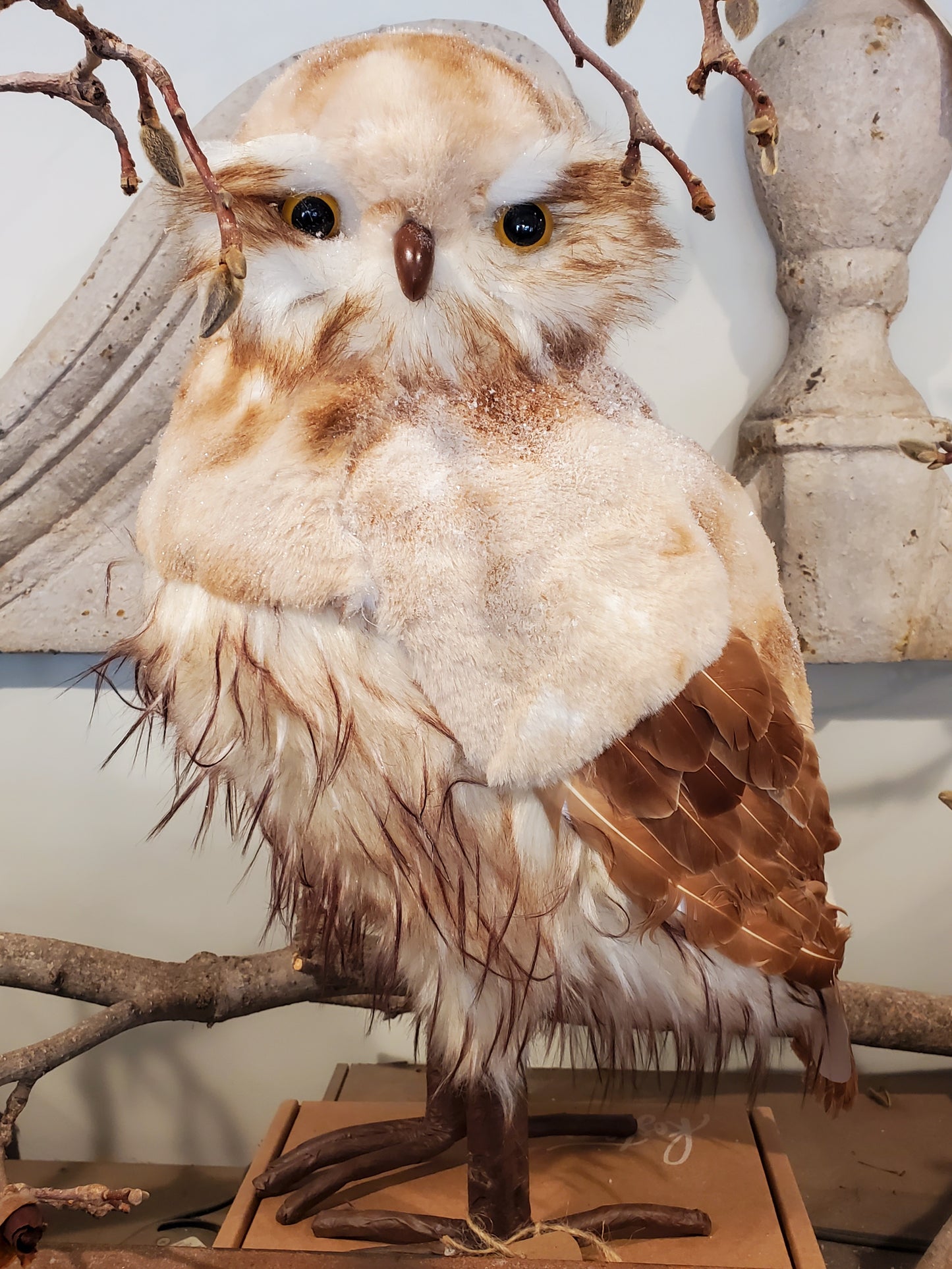 Frosty Iced Owl - Large