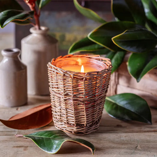 PV Magnolia Candle