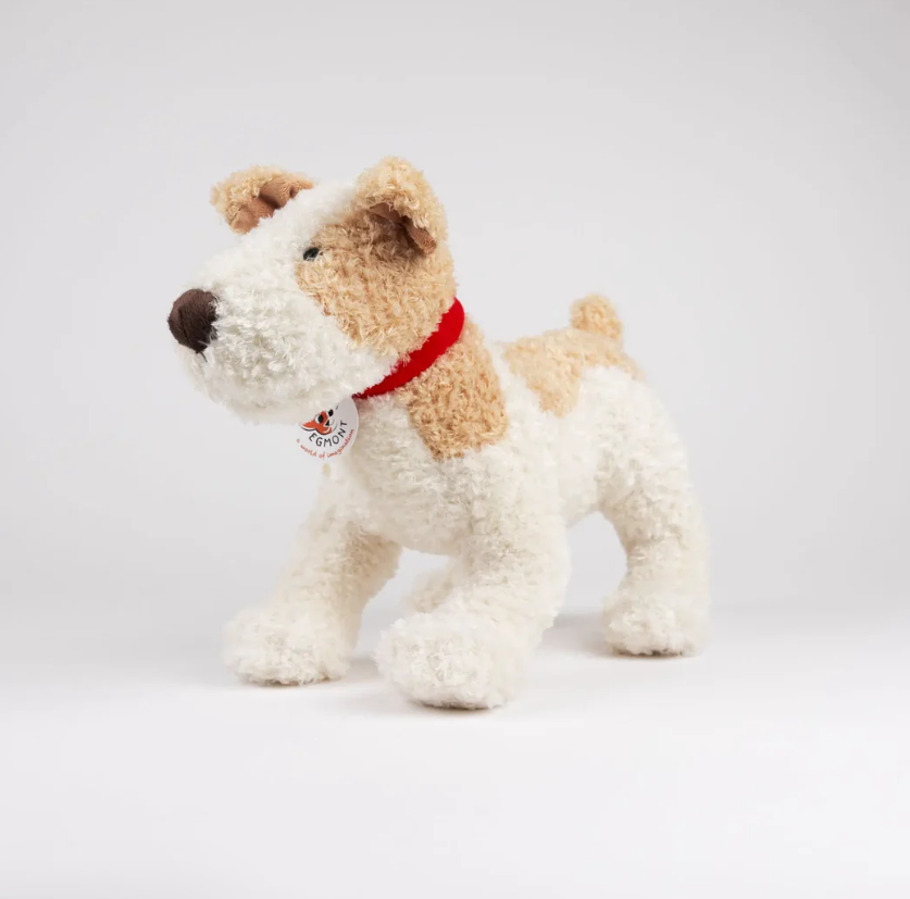 Eliot the Jack Russell