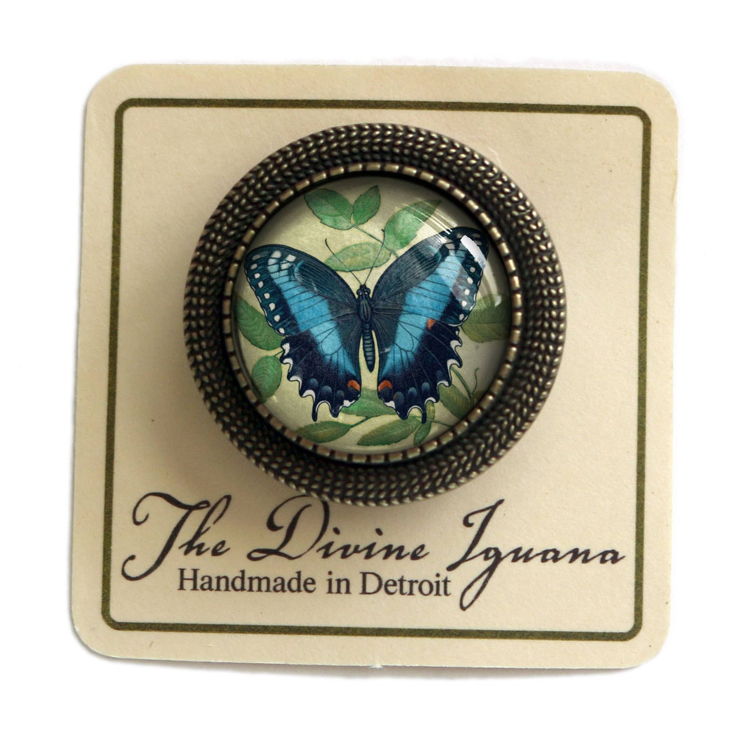 Blue Swallowtail Butterfly Brooch