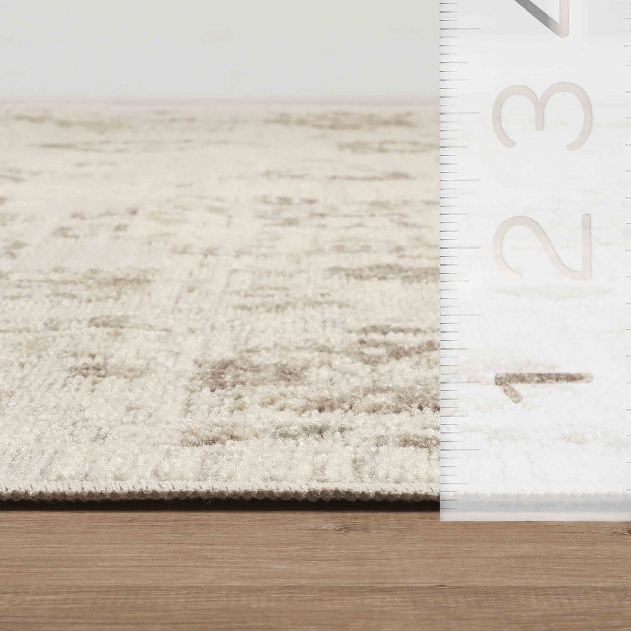 Nora Traditional Distressed Floral Beige Area Rug: 2'6" x 6'