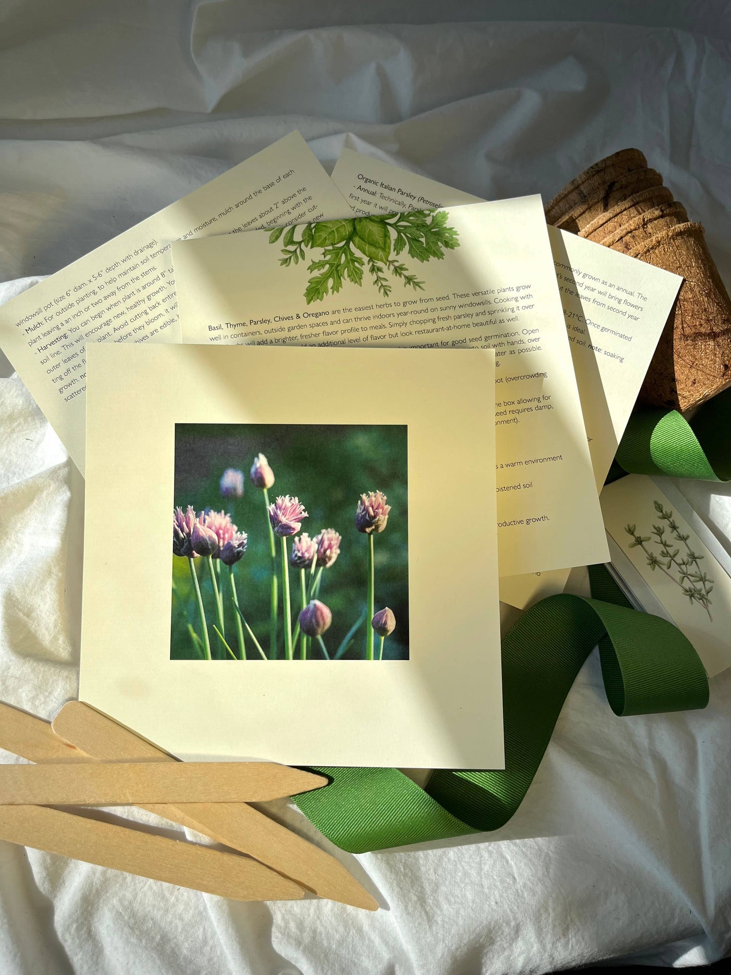 NEW Culinary Herb Garden Box | Mother's Day | Spring