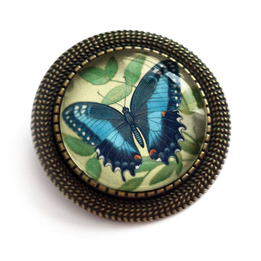 Blue Swallowtail Butterfly Brooch