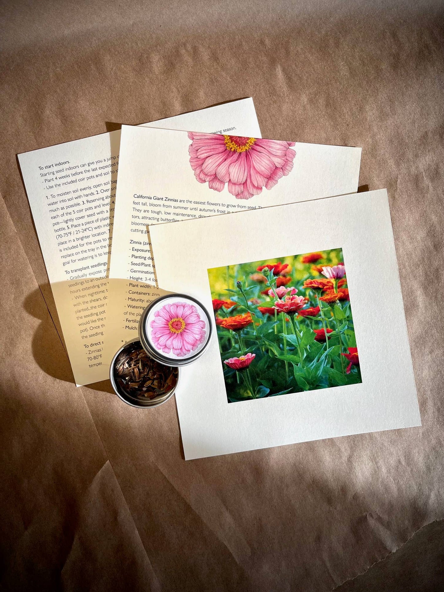 NEW Flower Cutting Garden Box | Mixed Zinnia | Mother's Day