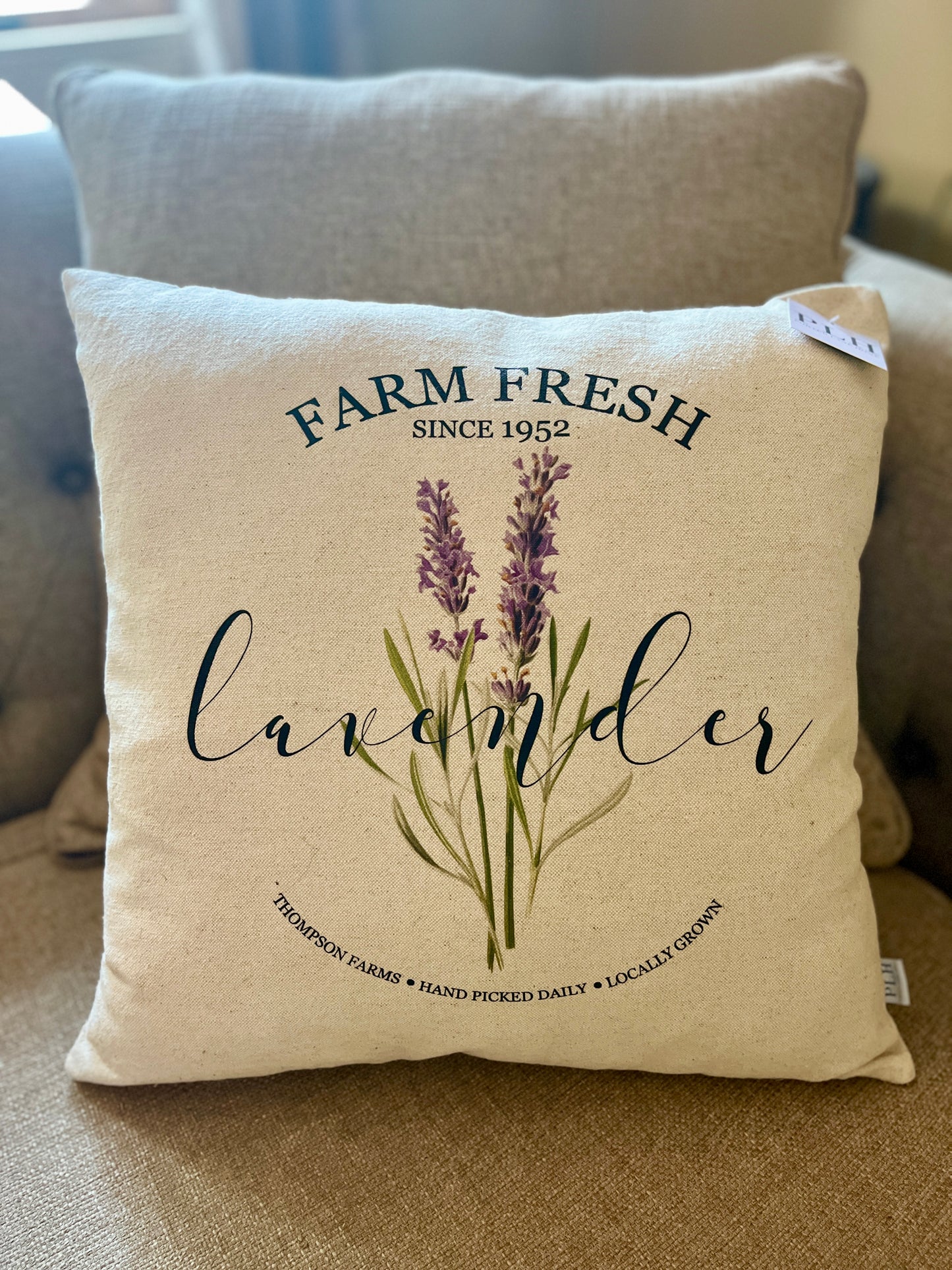 Lavender Farm Pillow