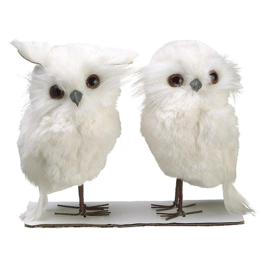 Snowy Owl